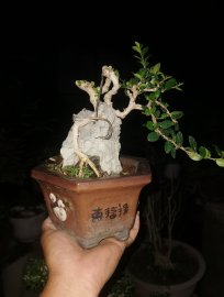 Vừa chốt tiếp thanks ae