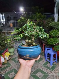 Thư giãn đêm khuya 