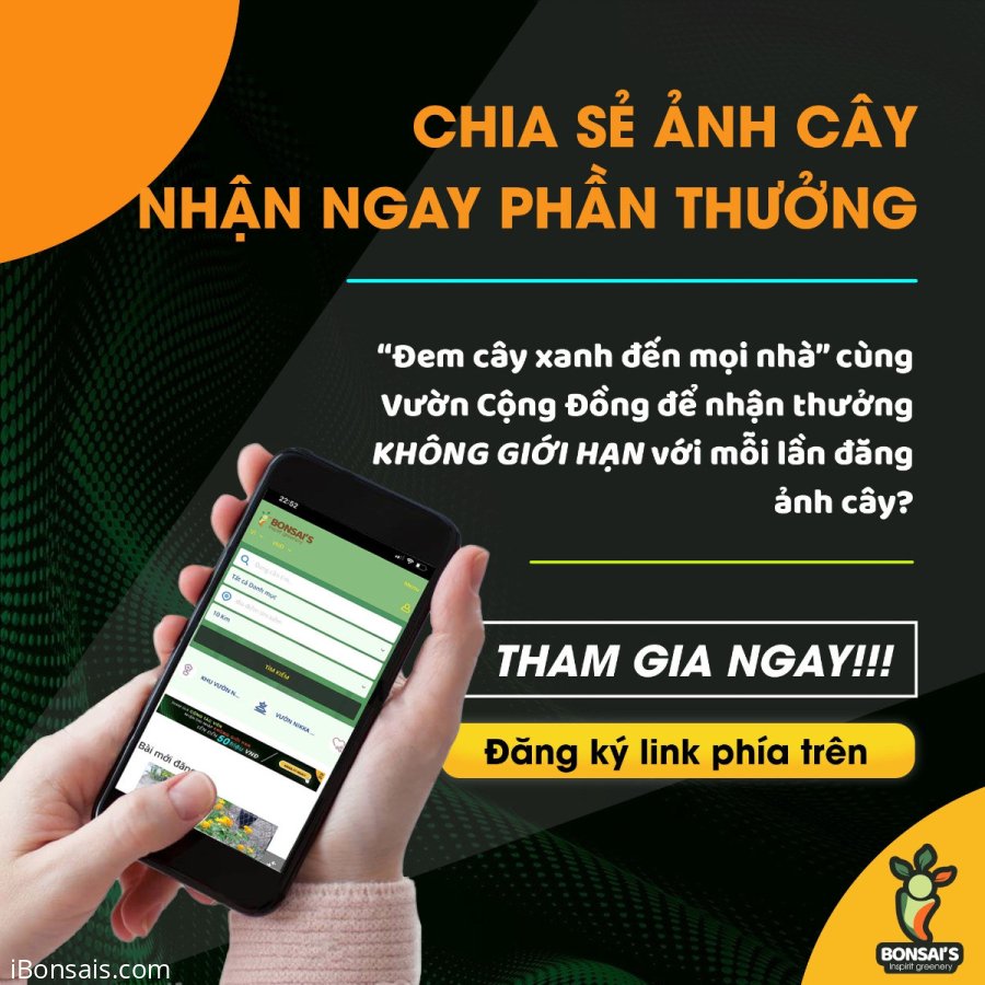 Không bán hàng online cũng có thể kiếm tiền trên Facebook