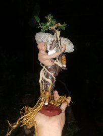 TP  Sam Hương mới hoàn thiện chờ thêm tgian 