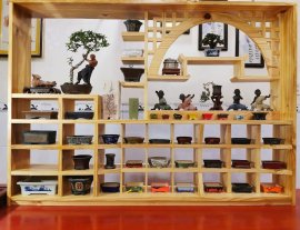 Kệ chậu Bonsai