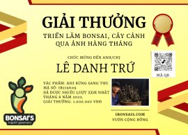 Khi rừng sang thu