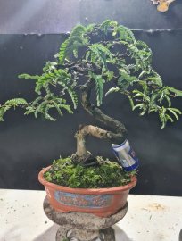 Me giao lưu cả nhà, trái được 1 mùa
