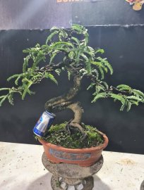 Me giao lưu cả nhà, trái được 1 mùa