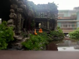 Thanh thiên vạn thuở trăng ngà hiện