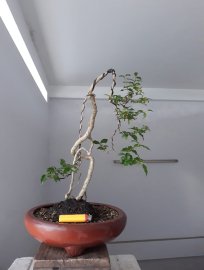Hồng Ngọc Mai nhân văn...