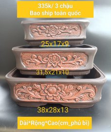 Bể cạn, nói chung là cũng đẹp