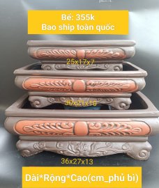 Bể cạn, nói chung là cũng đẹp