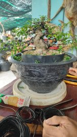 MCT đang hoàn thiện