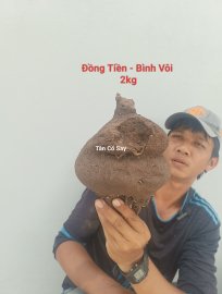 Đồng Tiền - Bình Vôi  ☎️07667.12379☎️
