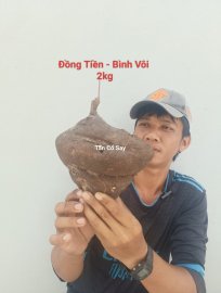 Đồng Tiền - Bình Vôi  ☎️07667.12379☎️