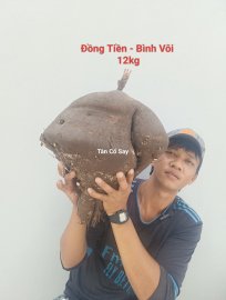 Đồng Tiền - Bình Vôi  ☎️07667.12379☎️