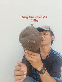 Đồng Tiền - Bình Vôi  ☎️07667.12379☎️