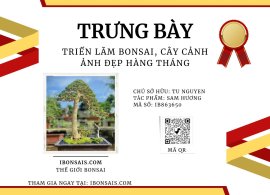 Sam hương