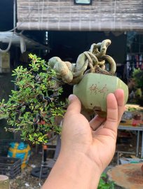 Linh sam 86 đổ treo mini cầm tay
