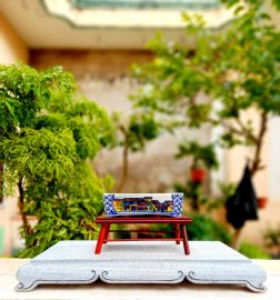 Chậu chuẩn vẽ thanh lý vài trăm k