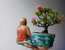 Em Trang Hồng phấn nhỏ...