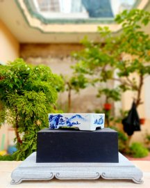Chậu chuẩn vẽ thanh lý vài trăm k