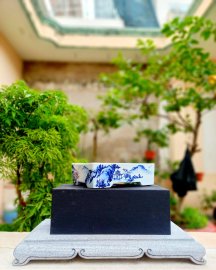 Chậu chuẩn vẽ thanh lý vài trăm k