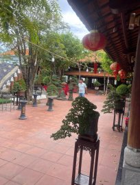 Trưng bày Bonsai CLB Hoà Hiệp Trung từ 19-21/7-2024 (Kết thúc)