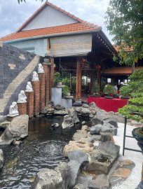 Trưng bày Bonsai CLB Hoà Hiệp Trung từ 19-21/7-2024 (Kết thúc)