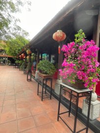 Trưng bày Bonsai CLB Hoà Hiệp Trung từ 19-21/7-2024 (Kết thúc)