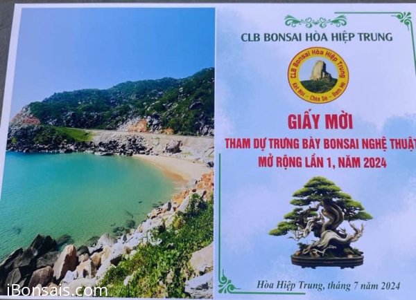Trưng bày Bonsai CLB Hoà Hiệp Trung từ 19-21/7-2024 (Kết thúc)