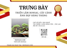 Long Đằng Vân - Phi lao❤️