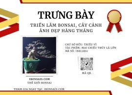 Vietnamese water jasmine
