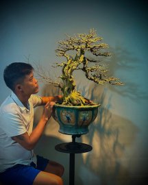 Linh sam đang trong quá trình đào tạo
