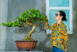Tp Linh Sam vườn nhà co lắc uốn lượn