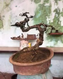 Tác phẩm sanh quê già quái
