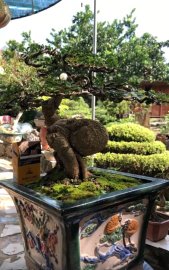 Tác phẩm cần thăng hoàn thiện