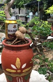 Tác phẩm cần thăng thác đổ
