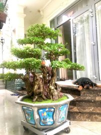 Tác phẩm: Gia đình Hạnh Phúc