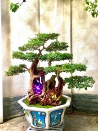 Tác phẩm: Gia đình Hạnh Phúc