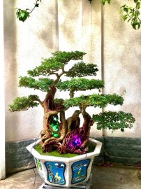 Tác phẩm: Gia đình Hạnh Phúc