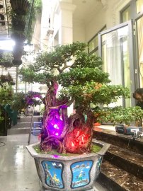 Tác phẩm: Gia đình Hạnh Phúc