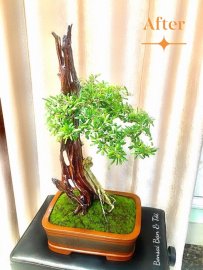 Linh Sam sông Hinh Lũa thép