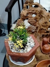 Em nhỏ bé, nhưng vẫn góp phần làm đẹp cho đời