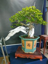 Mời ace vào xem live tối nay nhé!