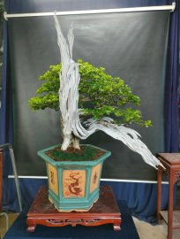 Mời ace vào xem live tối nay nhé!