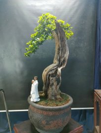 Mời ace tối vào xem live nhé!