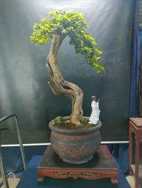 Mời ace tối vào xem live nhé!