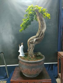 Mời ace tối vào xem live nhé!