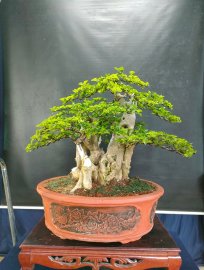 Mời ace vào xem live tối nay nhé!