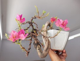 Giấy Mỹ zin và hoa...