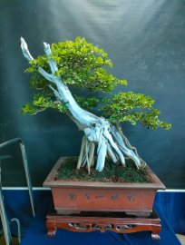 Mời ace vào xem live tối nay nhé!