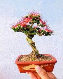 Nghệ thuật