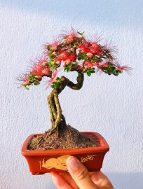 Nghệ thuật